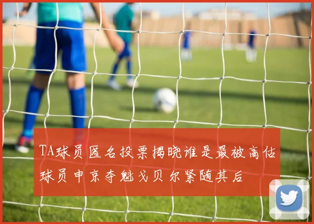 TA球员匿名投票揭晓谁是最被高估球员申京夺魁戈贝尔紧随其后