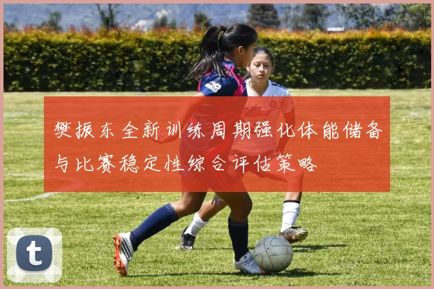 樊振东全新训练周期强化体能储备与比赛稳定性综合评估策略